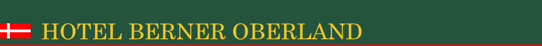 HOTEL BERNER OBERLAND �z�e�� �x���i�[�I�[�o�[�����g